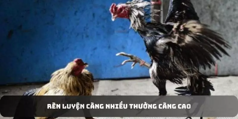 Chọn lọc gà tơ theo giống để nhanh phát triển