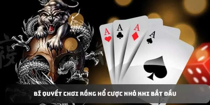 Hội viên nên đặt số tiền nhỏ trong các ván để hiểu cách chơi game