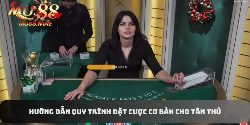 Hướng dẫn quy trình đặt cược cơ bản cho tân thủ