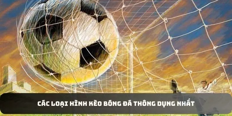 Các loại hình trong cược môn thể thao vua thông dụng nhất