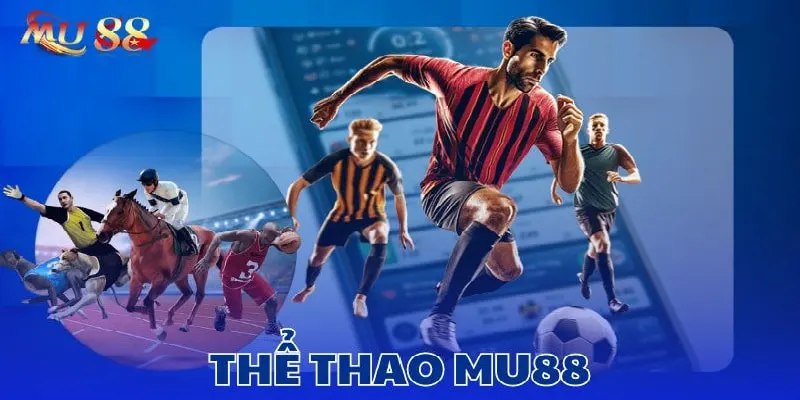 Đa dạng các sảnh game được đầu tư quy mô, chất lượng ở nhà cái