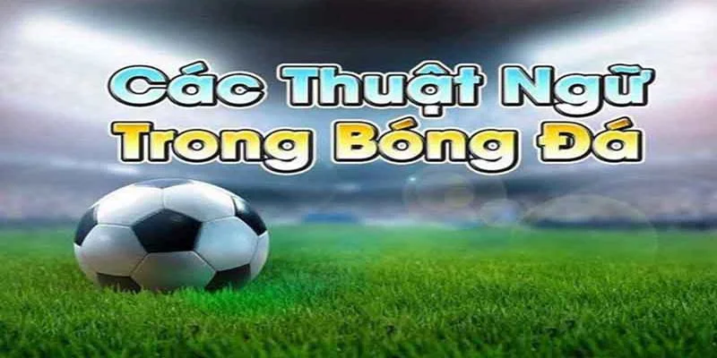 Ý nghĩa của các thuật ngữ