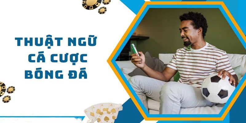 Các thuật ngữ thường gặp