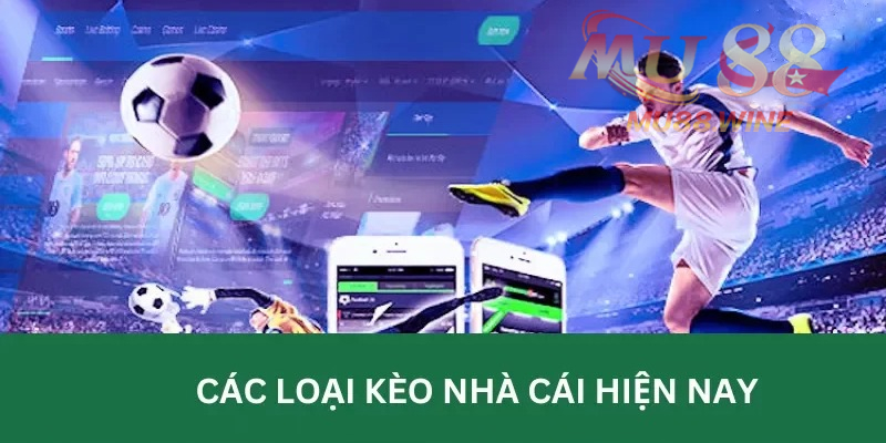 Những biến thể kèo phổ biến trong lĩnh vực cá độ