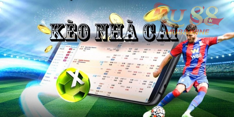 Thông tin tổng quan về kèo nhà cái pro