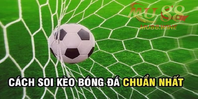 Các cách để Nhận định soi kèo nhà cái chuẩn nhất mà bạn cần biết