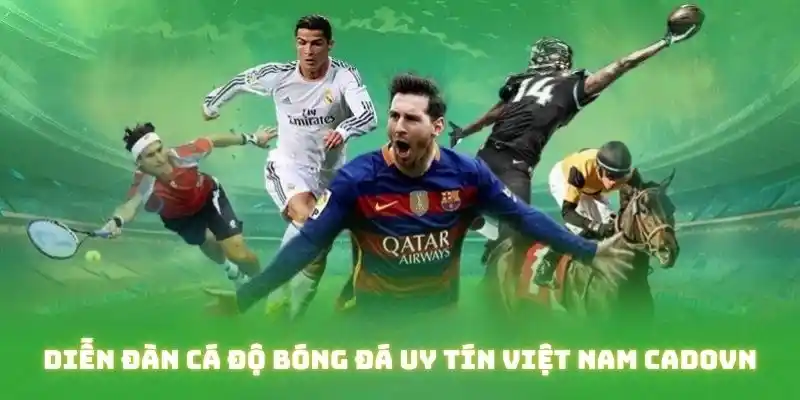 Diễn đàn cá độ bóng đá uy tín Việt Nam Cadovn