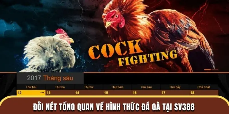 Đôi nét tổng quan về hình thức đá gà tại SV388